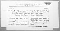 Image Associated With the Occurence
